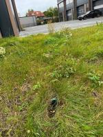 Fieldvisit 18th of september 2025 - credit by Antal zuurman