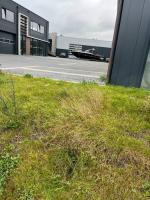 Fieldvisit 18th of september 2025 - credit by Antal zuurman