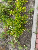 Fieldvsisit 6th of oktober 2025 - credit by Antal Zuurman