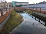 Pond for Tay Road Bridge off ramp runoff 