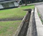 Concrete channel