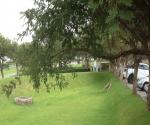 Bioswale Woodmead Northern Office Park (photo: AquaLinks)