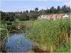 Ardler Pond