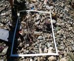 sample of plastic soup