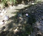 wastes washed away by the flood