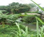 one of the sewage pipe