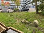 Fieldvisit 24th of september 2024 - credit by municipality of Leidschendam-Voorburg