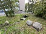 Fieldvisit 24th of september 2024 - credit by municipality of Leidschendam-Voorburg