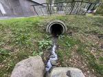 Fieldvisit 24th of september 2024 - credit by municipality of Leidschendam-Voorburg