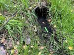 Fieldvisit 24th of september 2024 - credit by municipality of Leidschendam-Voorburg
