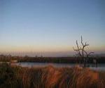 Retention Pond (NEWLA)