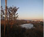Retention Pond (NEWLA)
