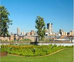 Green roof (source: Insite Group)