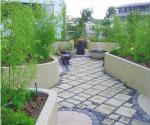Green roof in Sandton (source: Insite Group)