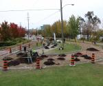 Depave Paradise_Downtown Vibrancy Project 3
