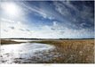 Beuven constructed wetland