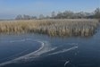 Beuven constructed wetland 2