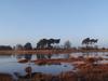 Beuven constructed wetland 3