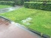 Polhaarweg