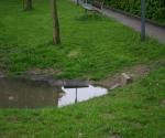 Wateroverlast rond wadi 10 mei 2012 - credit by gemeente Nijmegen