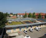 overview of green roof