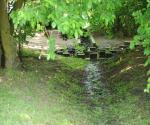 pond and water steps