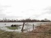 waterberging Reest in werking