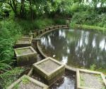 pond east view
