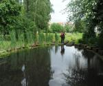 pond west view