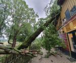 Picture by foundation kinderboerderij Goffert