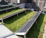 Presentation of new green roof aug 2011 - Credit by Antal Zuurman 