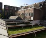 Presentation of new green roof aug 2011 - Credit by Antal Zuurman 