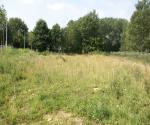 Swale after constrcution, without maintenace appplied - credit antal zuurman