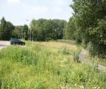 Swale after constrcution, without maintenace appplied - credit antal zuurman