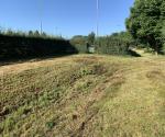 Fieldvisit june 2022 - credit by Antal Zuurman