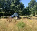 Fieldvisit june 2022 - credit by Antal Zuurman