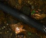 Human waste from the people who live nearby the river