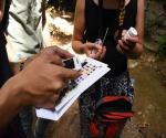 Measuring the pH, nitrite, nitrate and phosphate with the AKVO app