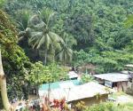 The people houses are made of plastic and wood, in the forests