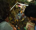 The plastic waste in the river