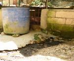 The sewerage system of the piggery