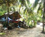This are the houses of the people living in this area