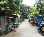 This is the road to the spring of the Mahiga Creek. Along the way up there are houses, agriculture, banana plantations