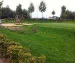 Fieldvisit 9 september 2014 - credit by Antal Zuurman