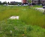 Fieldvisit 6 july of 2012 - inventory poor permeability - credit by Antal Zuurman