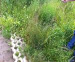 Fieldvisit 6 july of 2012 - inventory poor permeability - credit by Antal Zuurman