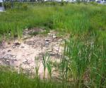 Fieldvisit 6 july of 2012 - inventory poor permeability - credit by Antal Zuurman