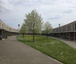 Wadi in bloei zomer 2016