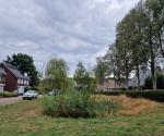 Retentie Rietmade te Hoeven augustus 2022