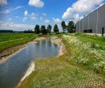 Retentie Korenweide te Oud Gastel